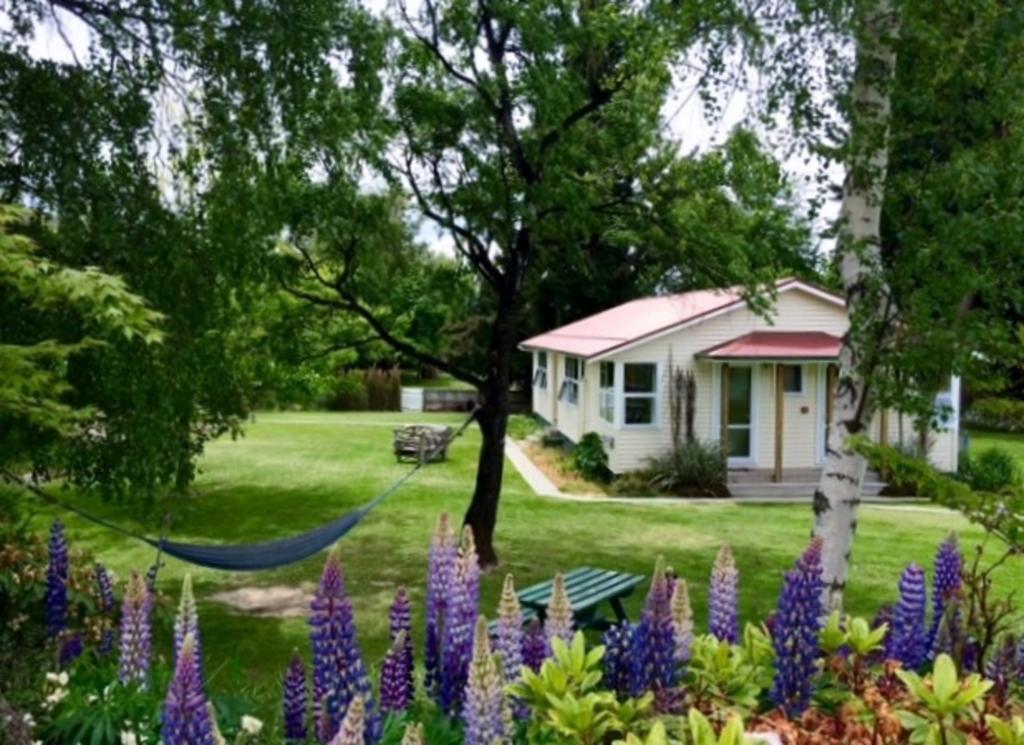 Tailor Made Tekapo Accommodation - Guesthouse & Hostel Lake Tekapo Room photo