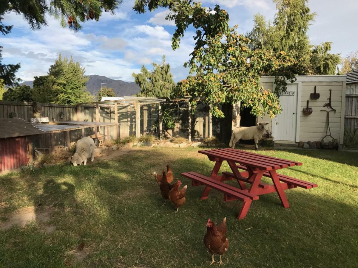 Tailor Made Tekapo Accommodation - Guesthouse & Hostel Lake Tekapo Exterior photo